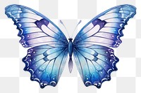 PNG Blue butterfly animal insect