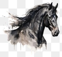 PNG Horse stallion drawing animal