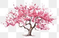 PNG Blossom flower cherry plant. AI generated Image by rawpixel.