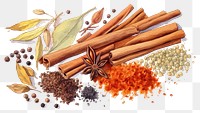 PNG Spice food ingredient variation