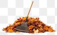 PNG Plant leaf wheelbarrow freshness. AI generated Image by rawpixel.