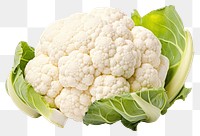 PNG Cauliflower vegetable plant food. 