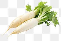PNG Vegetable radish plant food