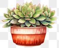 PNG Plant leaf pot houseplant.