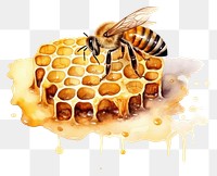 PNG Honeycomb animal insect wasp. AI generated Image by rawpixel.