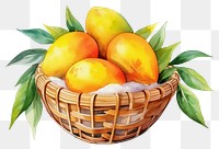 PNG Basket fruit mango plant. 