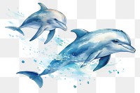 PNG Dolphin animal mammal fish