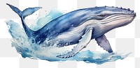 PNG Whale animal mammal fish. AI generated Image by rawpixel.