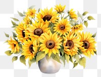 PNG Sunflower plant vase inflorescence