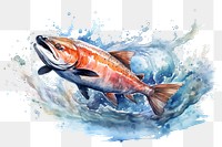 PNG Animal fish carp koi. 