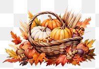 PNG Thanksgiving vegetable pumpkin basket