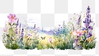 PNG Lavender outdoors blossom nature