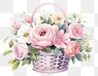 PNG Flower basket plant rose