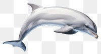 PNG Dolphin animal mammal fish. 