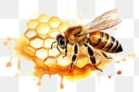 PNG Insect animal hornet honey. AI generated Image by rawpixel.