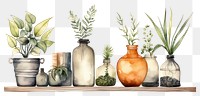 PNG Plant herbs vase jar