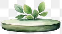 PNG Plant green leaf vase. AI generated Image by rawpixel.