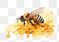 PNG Bee honeycomb animal insect