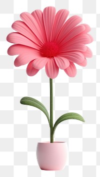 PNG  Flower petal plant daisy. AI generated Image by rawpixel.