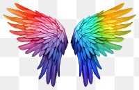 PNG Graphics wing bird transparent background