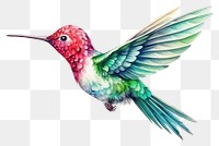 PNG Hummingbird animal white background creativity. AI generated Image by rawpixel.