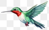 PNG Hummingbird animal flying  