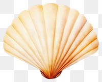 PNG Seashell clam invertebrate. 