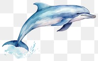 PNG Dolphin animal mammal fish. 