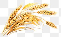 PNG Wheat food agriculture harvesting. AI generated Image by rawpixel.