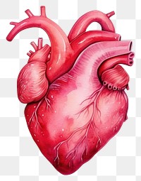 PNG Heart creativity cartoon drawing