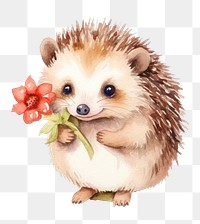 PNG Hedgehog mammal animal rodent. 