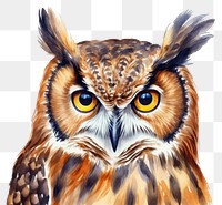 PNG Animal bird beak owl. 