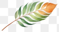 PNG Plant leaf pattern nature. 