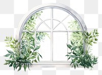 PNG Transparent window plant leaf. 