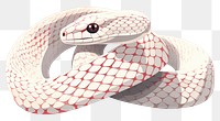 PNG Reptile animal snake cartoon. AI generated Image by rawpixel.