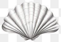 PNG Seashell clam white background invertebrate. AI generated Image by rawpixel.