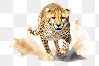 PNG Wildlife cheetah leopard animal. AI generated Image by rawpixel.