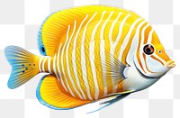 PNG Fish animal pomacanthidae pomacentridae, digital paint illustration. 