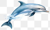 PNG Dolphin animal mammal fish, digital paint illustration. 