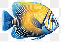 PNG vibrant tropical fish illustration