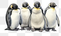 PNG Penguin animal bird wildlife, digital paint illustration. 