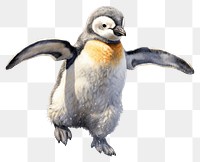 PNG Penguin animal bird wildlife, digital paint illustration. 