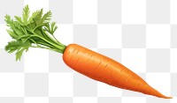 PNG Carrot vegetable plant food, digital paint illustration.