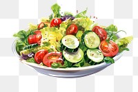 PNG Salad food meal dish, digital paint illustration. 