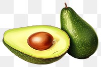 PNG Avocado fruit plant food, digital paint illustration. AI generated image