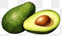 PNG Avocado fruit plant food, digital paint illustration.