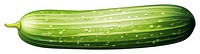 PNG Cucumber vegetable plant food, digital paint illustration.