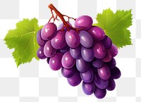 PNG Grapes fruit plant food, digital paint illustration. 