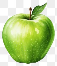 PNG Apple fruit green plant, digital paint illustration. AI generated image