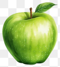 PNG Apple fruit green plant, digital paint illustration.